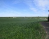 Lower Dry Creek Road, Walla Walla, Washington, ,Irrigated,For Sale,Lower Dry Creek Road,276533