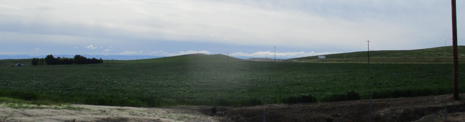 Lower Dry Creek Road, Walla Walla, Washington, ,Irrigated,For Sale,Lower Dry Creek Road,276533