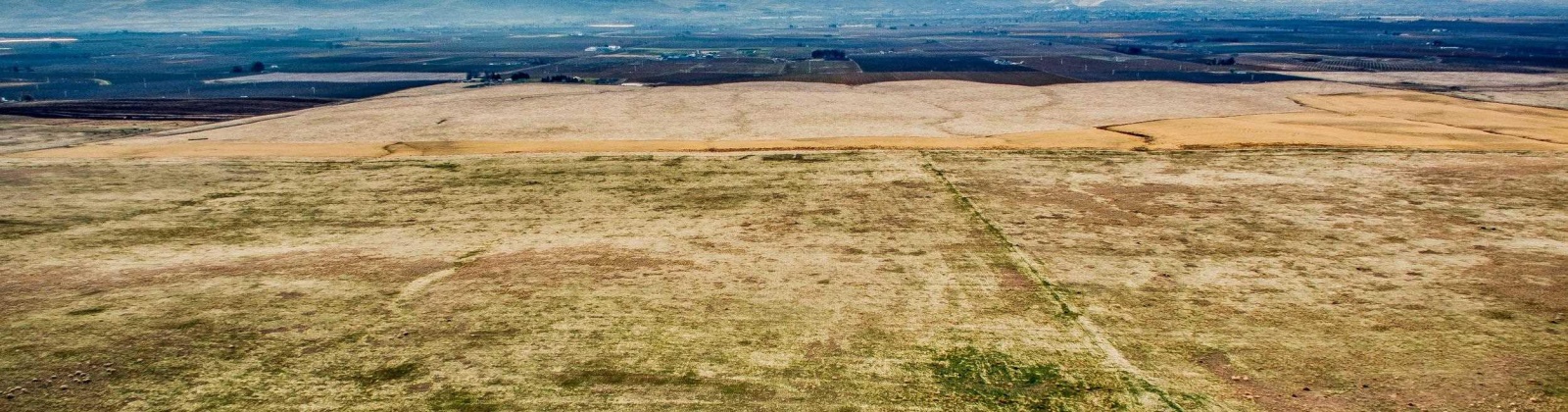 Crosby Rd, Prosser, Washington 99350, ,Agricultural,For Sale,Crosby Rd,273877