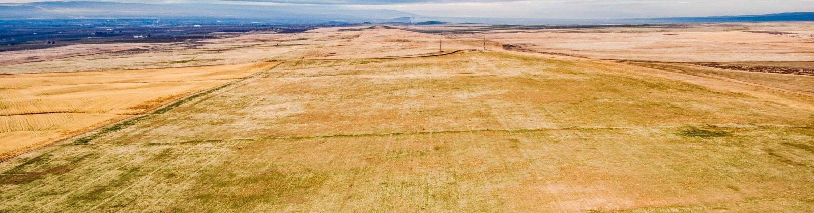 Crosby Rd, Prosser, Washington 99350, ,Agricultural,For Sale,Crosby Rd,273877