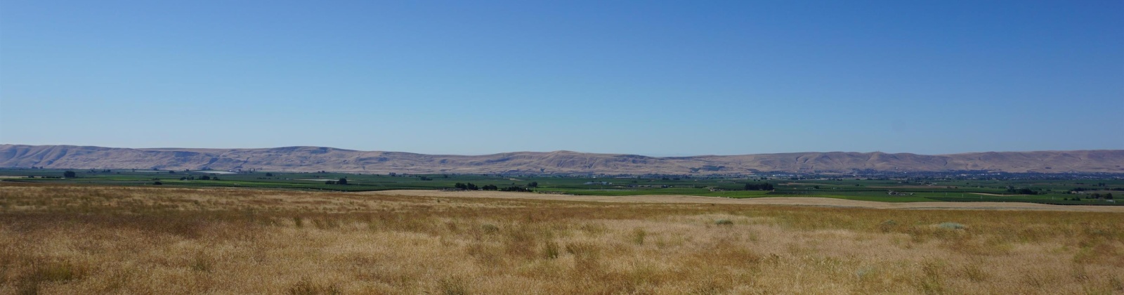 Crosby Rd, Prosser, Washington 99350, ,Agricultural,For Sale,Crosby Rd,273877