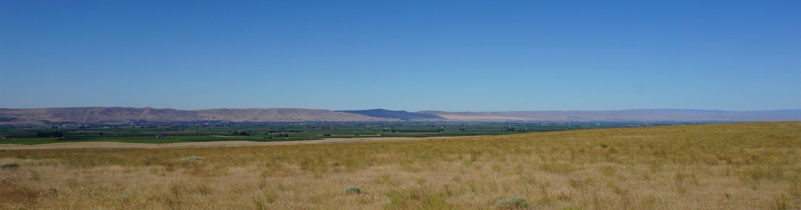 Crosby Rd, Prosser, Washington 99350, ,Agricultural,For Sale,Crosby Rd,273877