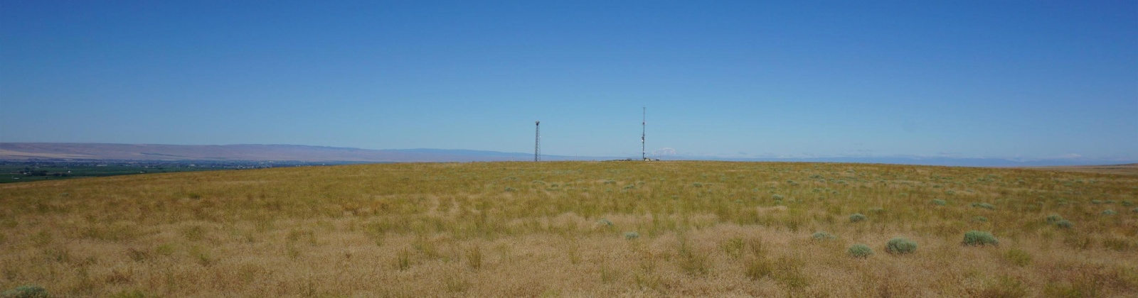 Crosby Rd, Prosser, Washington 99350, ,Agricultural,For Sale,Crosby Rd,273877