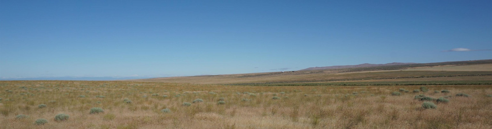 Crosby Rd, Prosser, Washington 99350, ,Agricultural,For Sale,Crosby Rd,273877