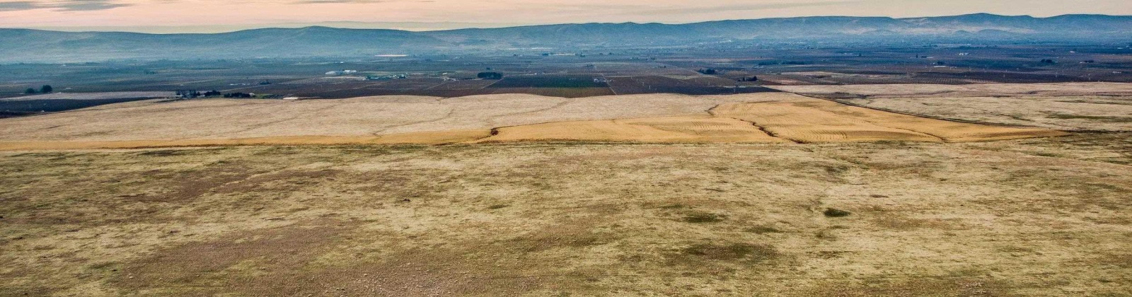 Crosby Rd, Prosser, Washington 99350, ,Agricultural,For Sale,Crosby Rd,273879