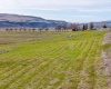 Highway 21, Kahlotus, Washington 99335, ,Residential,For Sale,Highway 21,274203