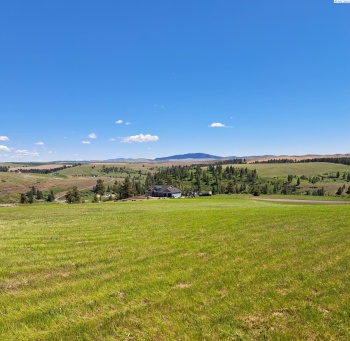 Red Tail Ridge, Colfax, Washington 99111, ,Residential,For Sale,Red Tail Ridge,274290