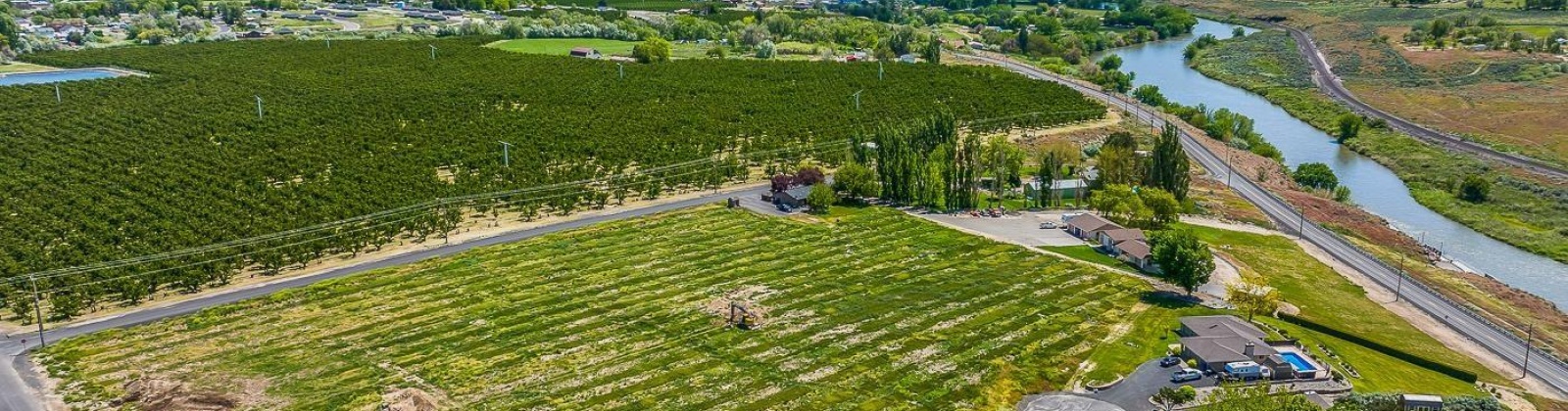 Whan Road, Benton City, Washington 99320, ,Residential,For Sale,Whan Road,274694