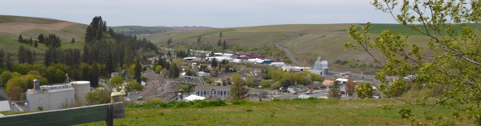 Ledbetter Ct., Colfax, Washington 99111, 5 Bedrooms Bedrooms, ,3 BathroomsBathrooms,Site Built-owned Lot,For Sale,Ledbetter Ct.,275637