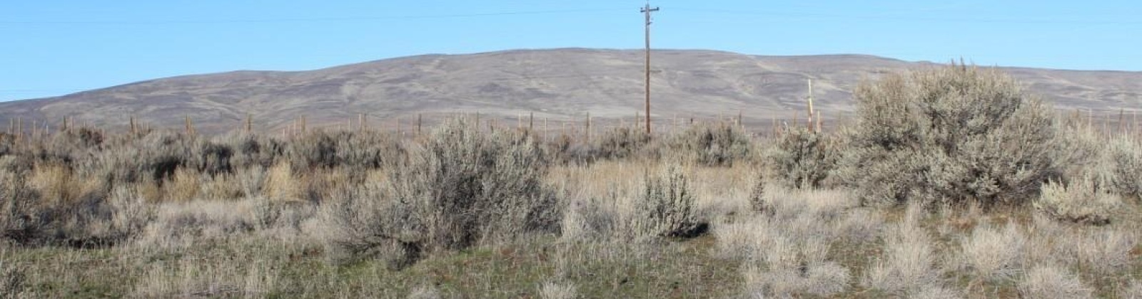 Schlect Rd, Yakima, Washington 98908, ,Other,For Sale,Schlect Rd,274822