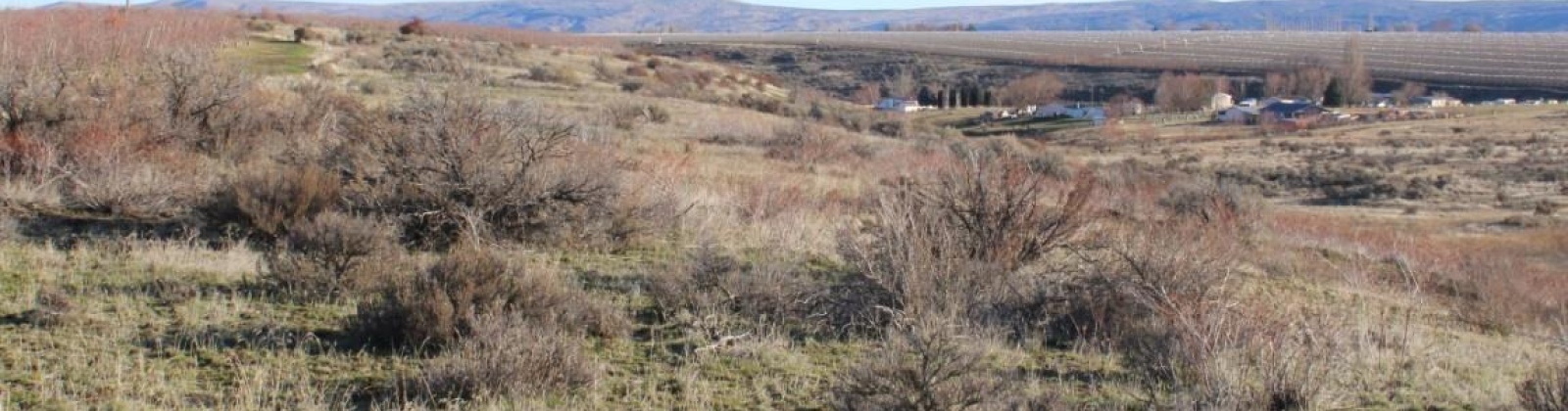 Schlect Rd, Yakima, Washington 98908, ,Other,For Sale,Schlect Rd,274822