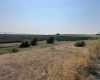 McCreadie Road, Lot #2, Prosser, Washington 99350, ,Residential,For Sale,McCreadie Road, Lot #2,276033