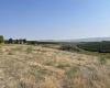 McCreadie Road, Lot #2, Prosser, Washington 99350, ,Residential,For Sale,McCreadie Road, Lot #2,276033