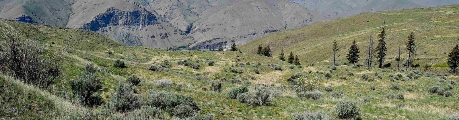 Blue Grade Rd, East Wenatchee, Washington 98802, ,Other,For Sale,Blue Grade Rd,275303