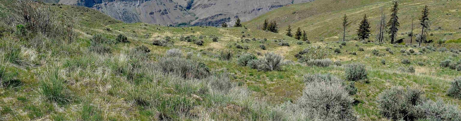 Blue Grade Rd, East Wenatchee, Washington 98802, ,Other,For Sale,Blue Grade Rd,275303