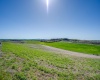 Kitzmiller Rd, Pullman, Washington 99163, ,Residential,For Sale,Kitzmiller Rd,275392