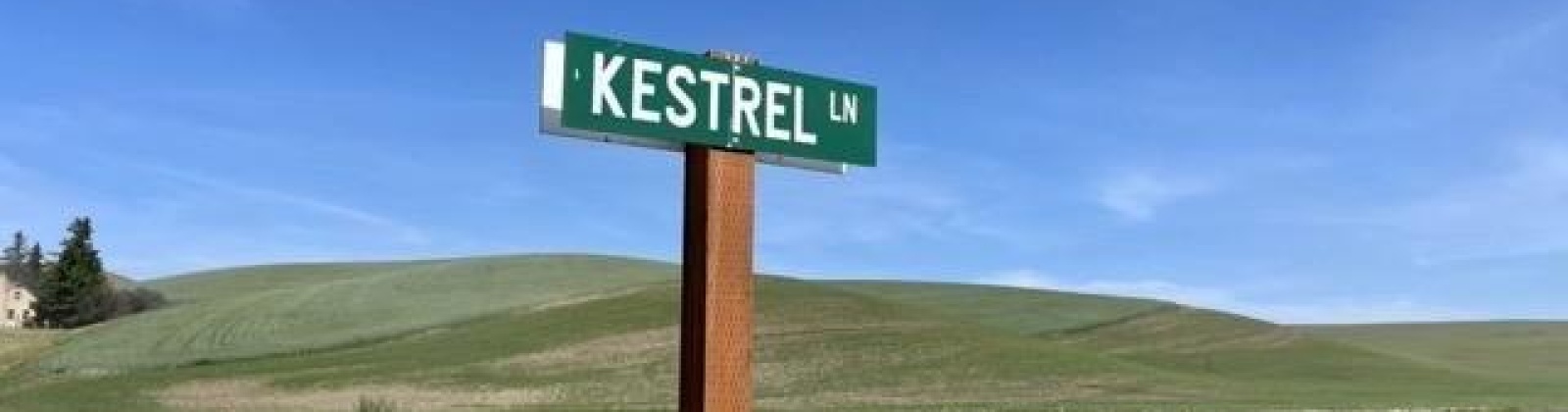 Kestrel, Pullman, Washington 99163, ,Residential,For Sale,Kestrel,275451