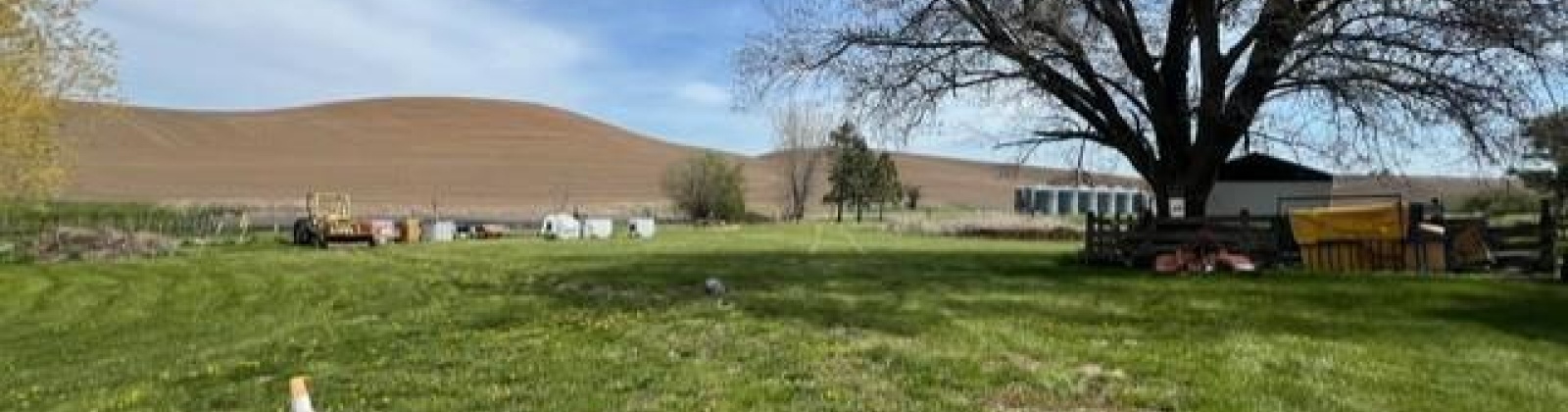 SR 194, Pullman, Washington 99163, ,Residential,For Sale,SR 194,275486