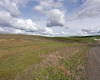 J Bar Rd, Pullman, Washington 99163, ,Agricultural,For Sale,J Bar Rd,275911