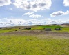 J Bar Rd, Pullman, Washington 99163, ,Agricultural,For Sale,J Bar Rd,275911