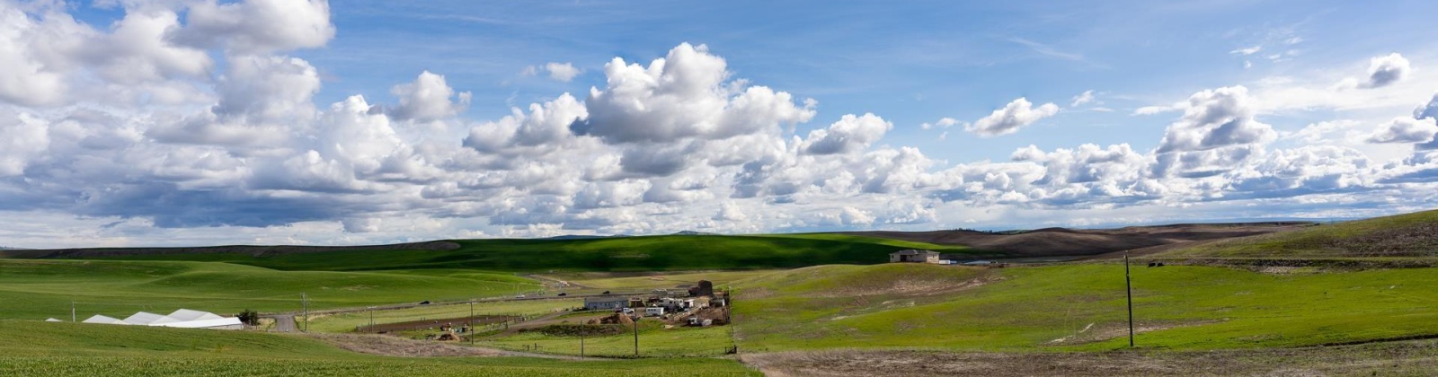 J Bar Rd, Pullman, Washington 99163, ,Agricultural,For Sale,J Bar Rd,275911