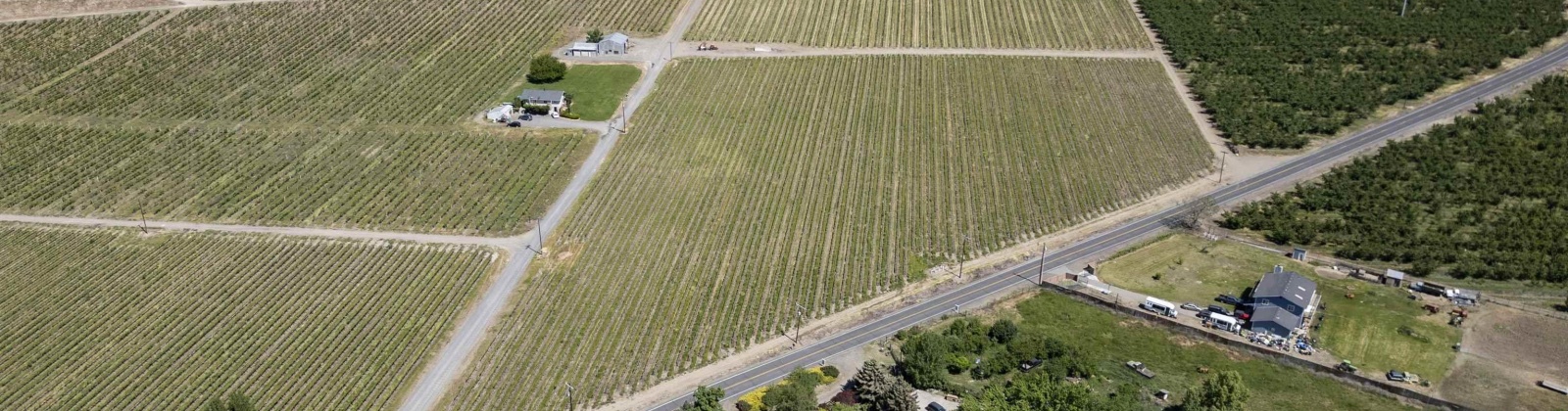 Wilson Hwy, Grandview, Washington 98930, ,Agricultural,For Sale,Wilson Hwy,275970