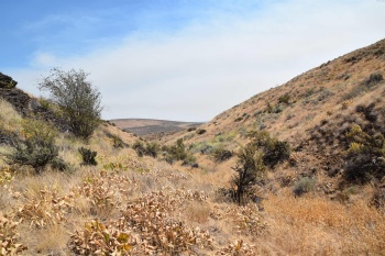 Long Tom Canyon Rd, Ellensburg, Washington 98926, ,Other,For Sale,Long Tom Canyon Rd,277107