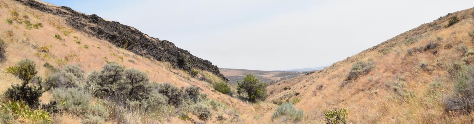 Long Tom Canyon Rd, Ellensburg, Washington 98926, ,Other,For Sale,Long Tom Canyon Rd,277107