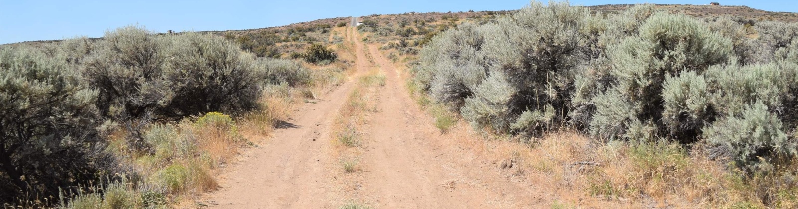 Long Tom Canyon Rd, Ellensburg, Washington 98926, ,Other,For Sale,Long Tom Canyon Rd,277107