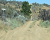 Long Tom Canyon Rd, Ellensburg, Washington 98926, ,Other,For Sale,Long Tom Canyon Rd,277107