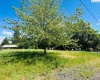 lot 5, block 19, Garfield, Washington 99130, ,Residential,For Sale,lot 5, block 19,277172