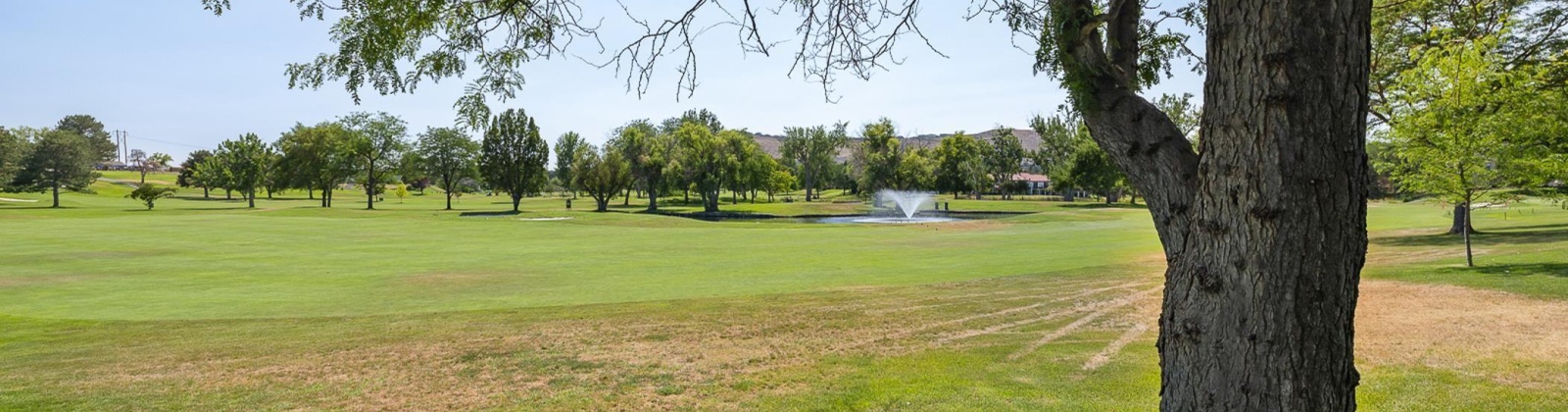 Palmer Ct., Richland, Washington 99352, 3 Bedrooms Bedrooms, ,3 BathroomsBathrooms,Town House,For Sale,Palmer Ct.,277599