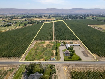 Apricot Road, Grandview, Washington 98930, 4 Bedrooms Bedrooms, ,2 BathroomsBathrooms,2 - 4 Homes,For Sale,Apricot Road,277654