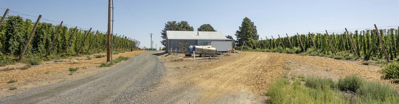 Crosby Road, Prosser, Washington 99350, 3 Bedrooms Bedrooms, ,2 BathroomsBathrooms,Site Built-owned Lot,For Sale,Crosby Road,278225