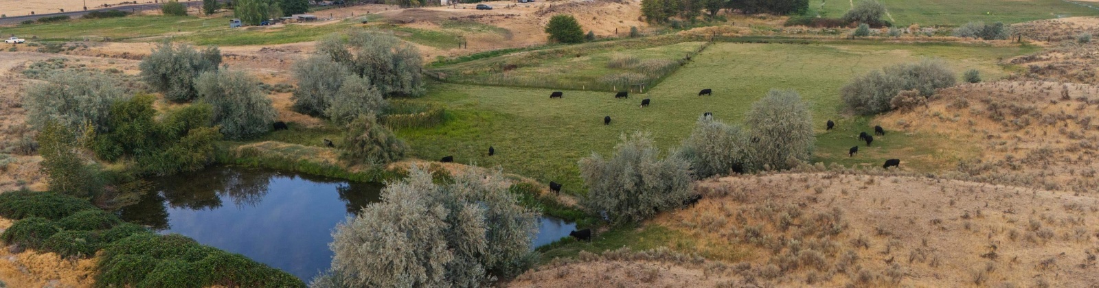 Old Inland Empire Hwy, Prosser, Washington 99350, ,Agricultural,For Sale,Old Inland Empire Hwy,278422