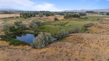 Old Inland Empire Hwy, Prosser, Washington 99350, ,Agricultural,For Sale,Old Inland Empire Hwy,278422