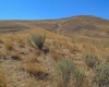 Lincoln Grade Road, Prosser, Washington 99350, ,Residential,For Sale,Lincoln Grade Road,278601