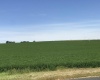 Elm Road, Pasco, Washington 99301-0000, ,Agricultural,For Sale,Elm Road,278835