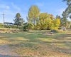 3rd, Farmington, Washington 99128, 3 Bedrooms Bedrooms, ,2 BathroomsBathrooms,Site Built-owned Lot,For Sale,3rd,279554