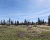 Telford South Road, Davenport, Washington 99122, ,Residential,For Sale,Telford South Road,276404