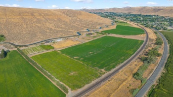 Badger Rd, Benton City, Washington 99320, ,Irrigated,For Sale,Badger Rd,270519