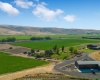 Badger Rd, Benton City, Washington 99320, ,Irrigated,For Sale,Badger Rd,270519