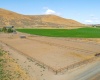 Badger Rd, Benton City, Washington 99320, ,Irrigated,For Sale,Badger Rd,270519