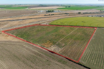 (parcel #124430076), Pasco, Washington 99301, ,Agricultural,For Sale,(parcel #124430076),279645