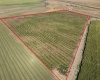 (parcel #124430076), Pasco, Washington 99301, ,Agricultural,For Sale,(parcel #124430076),279645