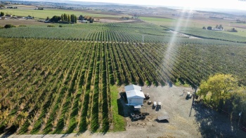 Phipps Rd., Sunnyside, Washington 98944, ,Agricultural,For Sale,Phipps Rd.,279948