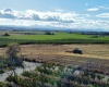 Phipps Rd., Sunnyside, Washington 98944, ,Agricultural,For Sale,Phipps Rd.,279950