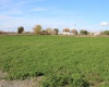 Johnson Rd, Prosser, Washington 99350, ,Residential,For Sale,Johnson Rd,279993