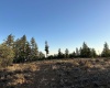 Jensen Quarry Rd, Goldendale, Washington 98620, ,Residential,For Sale,Jensen Quarry Rd,274885