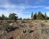 Jensen Quarry Rd, Goldendale, Washington 98620, ,Residential,For Sale,Jensen Quarry Rd,274885